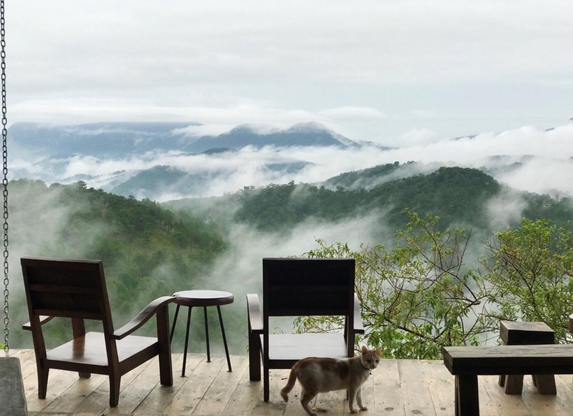 Top 20 quán cafe Đà Lạt nổi tiếng, có view sống ảo đẹp nhất