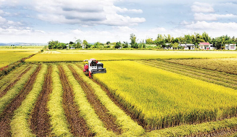 Bật mí Top các địa điểm du lịch Cần Thơ dành cho bạn