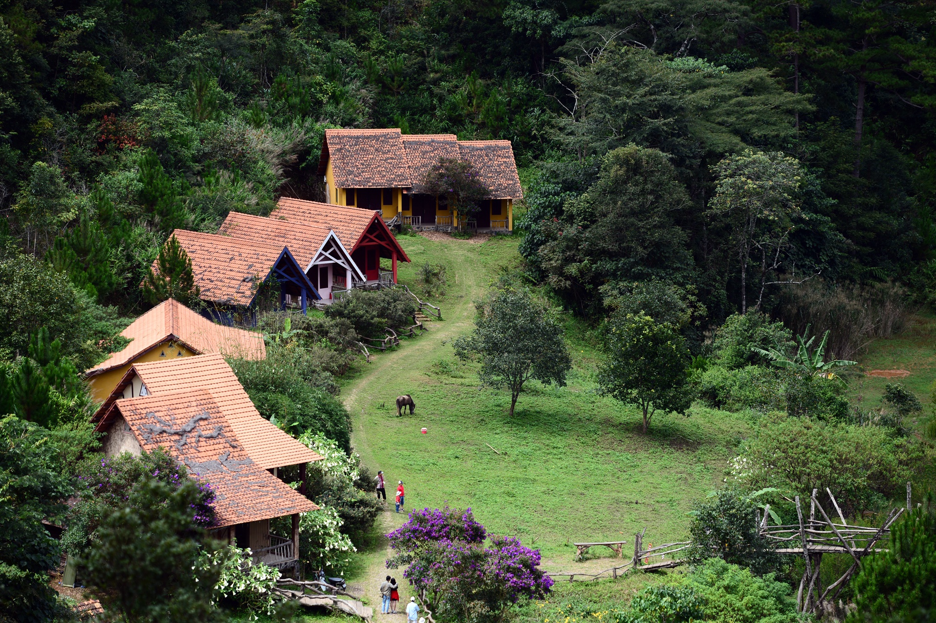 Top 25 cảnh đẹp Đà Lạt - Hành Trình Khám Phá Xứ Sở Ngàn Hoa