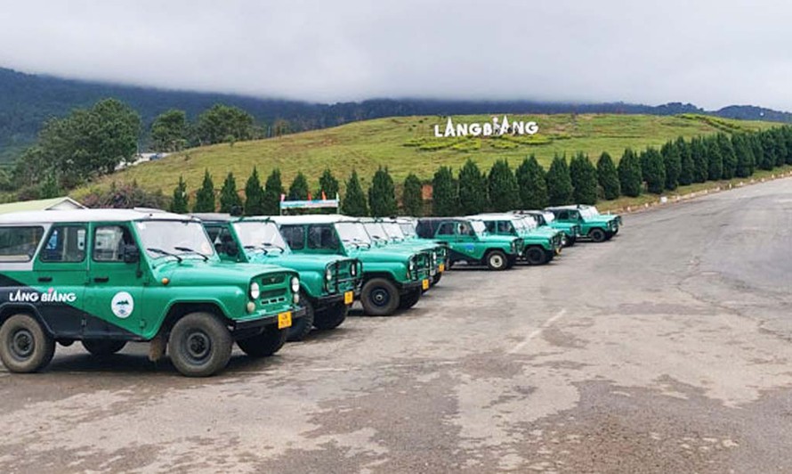 Top 25 cảnh đẹp Đà Lạt - Hành Trình Khám Phá Xứ Sở Ngàn Hoa