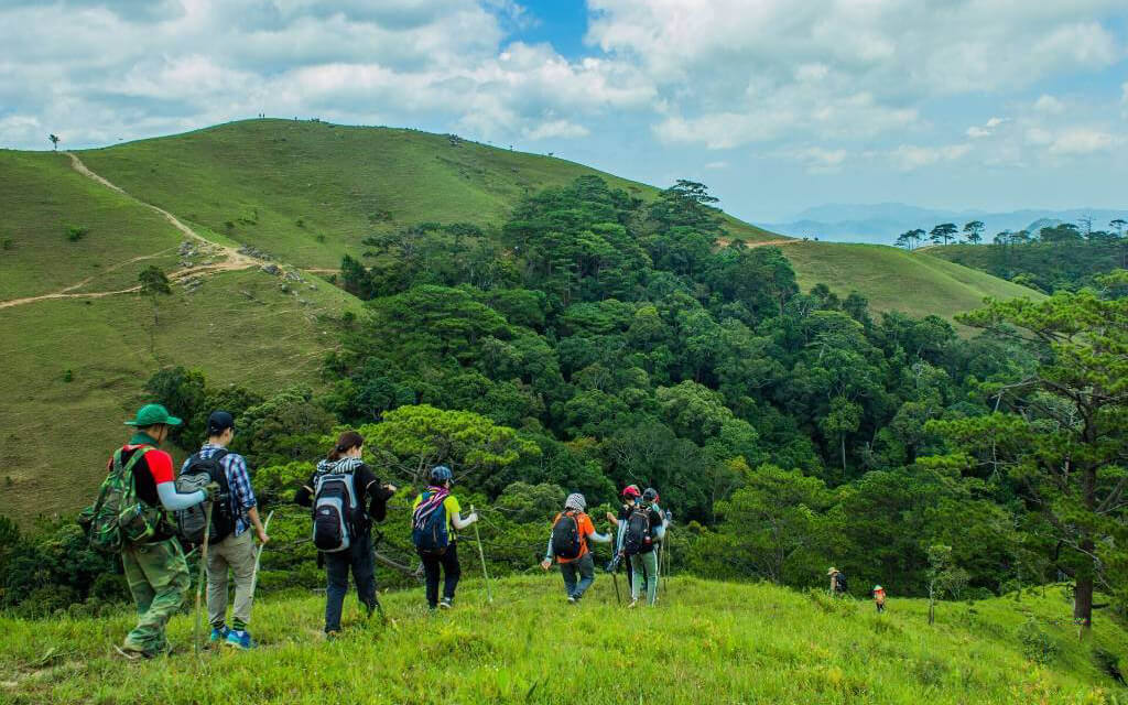 Top 25 cảnh đẹp Đà Lạt - Hành Trình Khám Phá Xứ Sở Ngàn Hoa