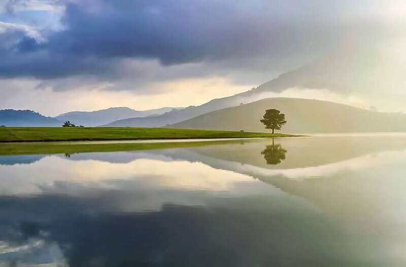 Cây thông cô đơn Đà Lạt - Không chỉ là chốn về của con dân FA