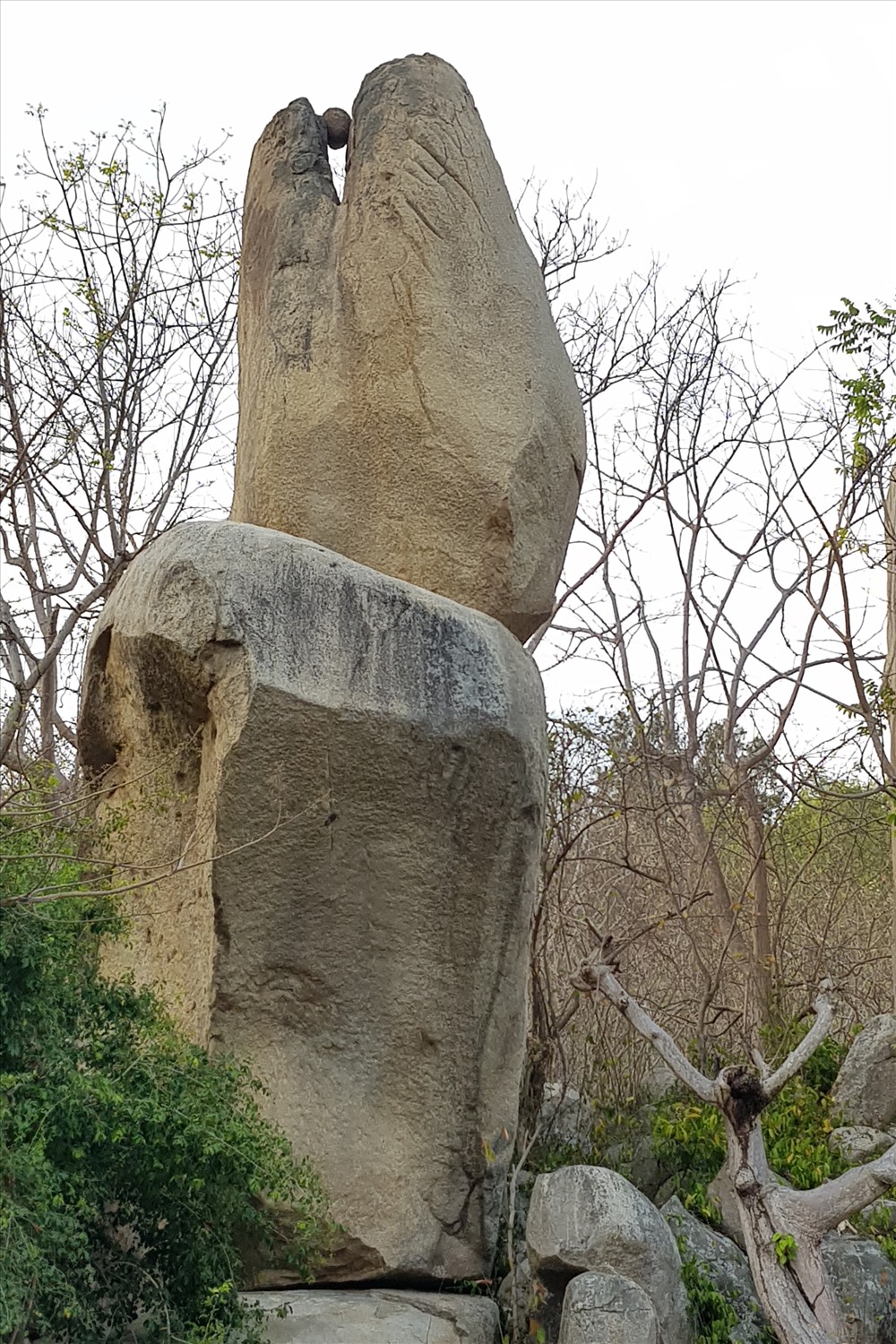 chùa khỉ Vũng Tàu