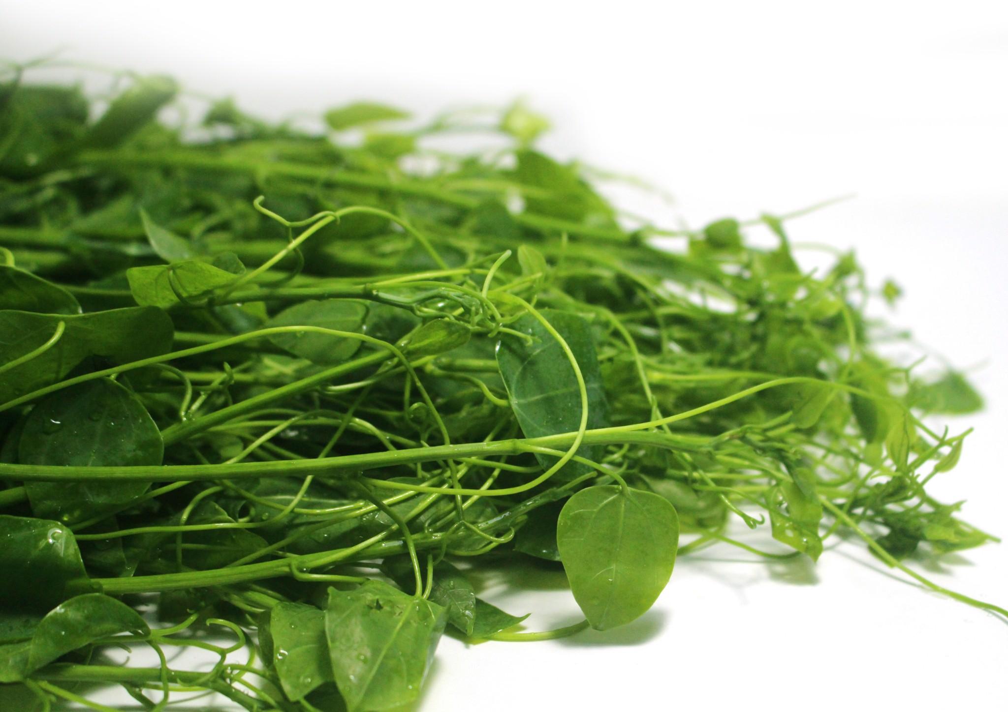 Về Vũng Tàu khám phá chùa Phật Quang linh thiêng, cổ kính