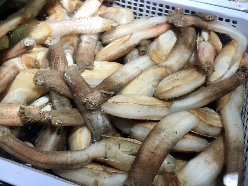 đặc sản cô tô