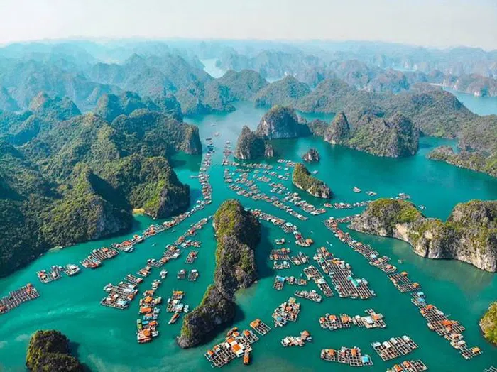 đảo khỉ cát bà