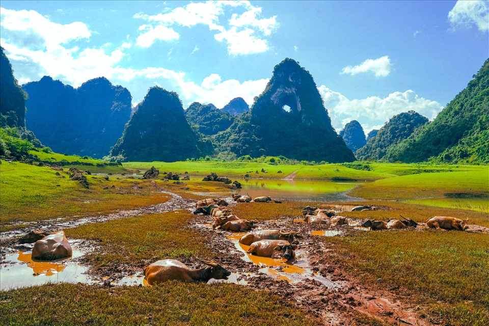 Thiên Nhiên Phong Cảnh Cao Bằng  Ảnh miễn phí trên Pixabay