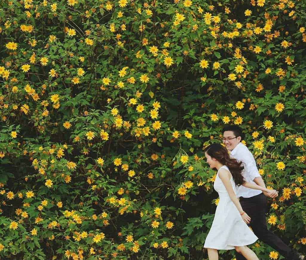 đi đà lạt mùa nào đẹp