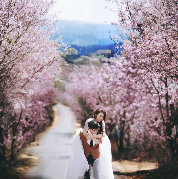 đi đà lạt mùa nào đẹp