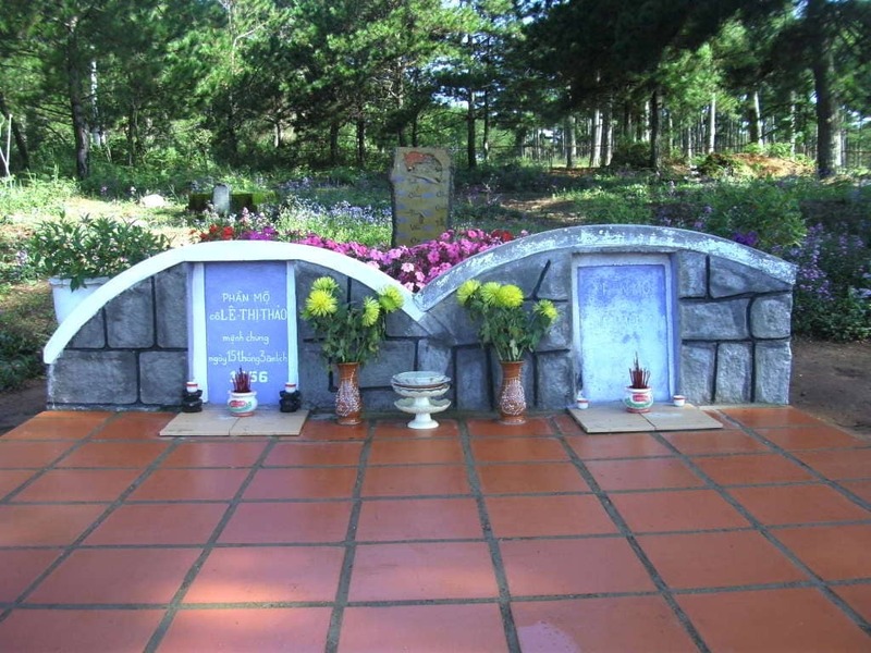 Đồi Thông Hai Mộ - Địa điểm du lịch “ma mị” tại Đà Lạt