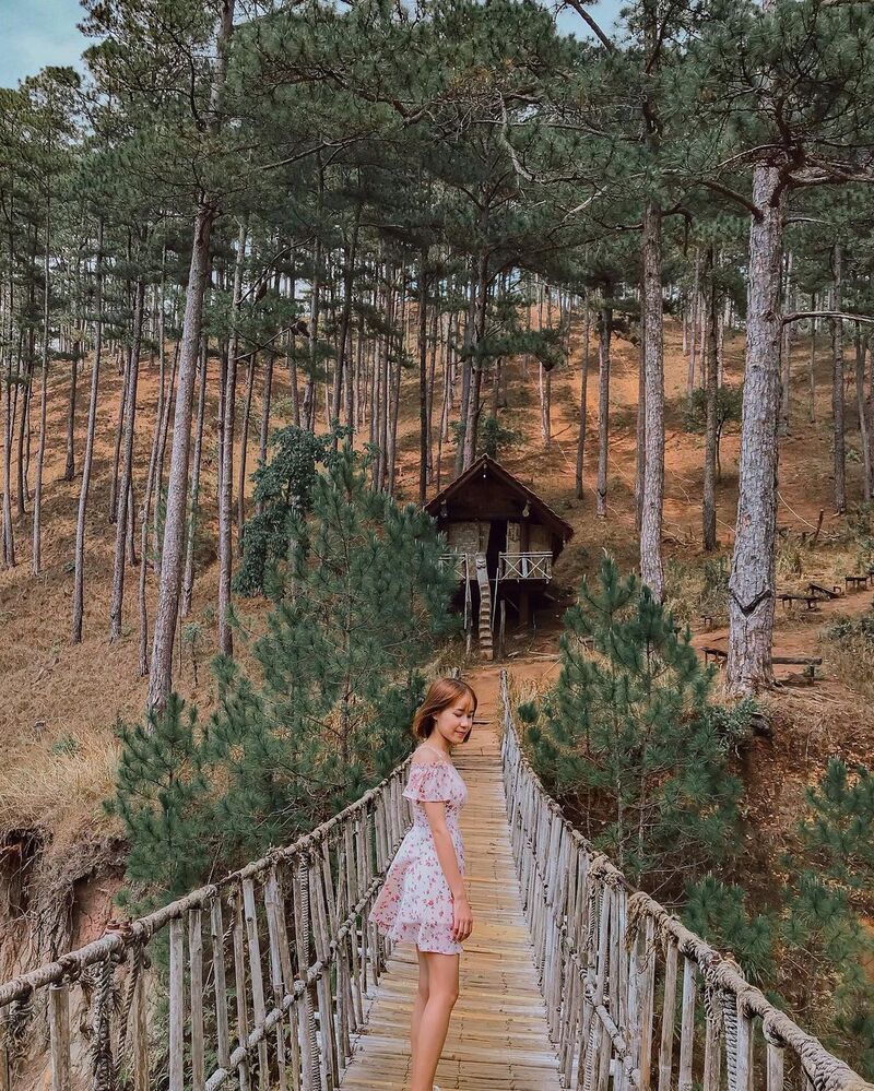 Đồi Thông Hai Mộ - Địa điểm du lịch “ma mị” tại Đà Lạt