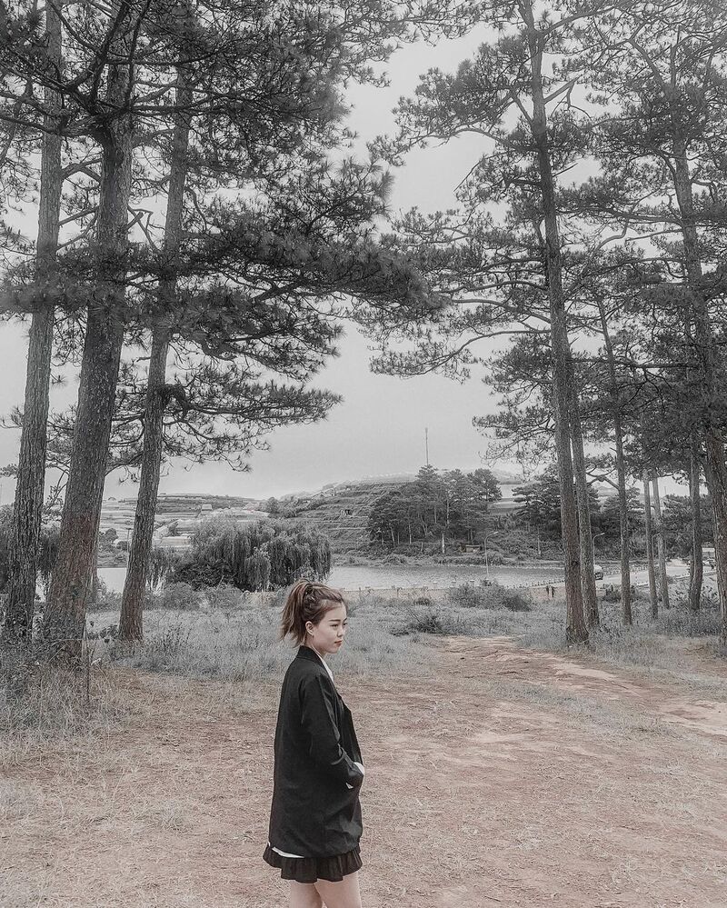 Đồi Thông Hai Mộ - Địa điểm du lịch “ma mị” tại Đà Lạt