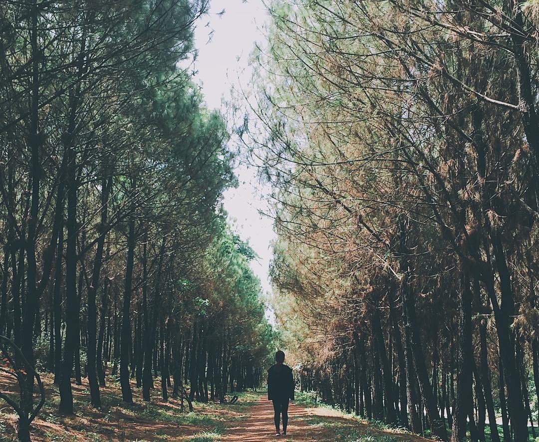 Đồi Vọng Cảnh - Ngắm trọn khung cảnh Huế nên thơ