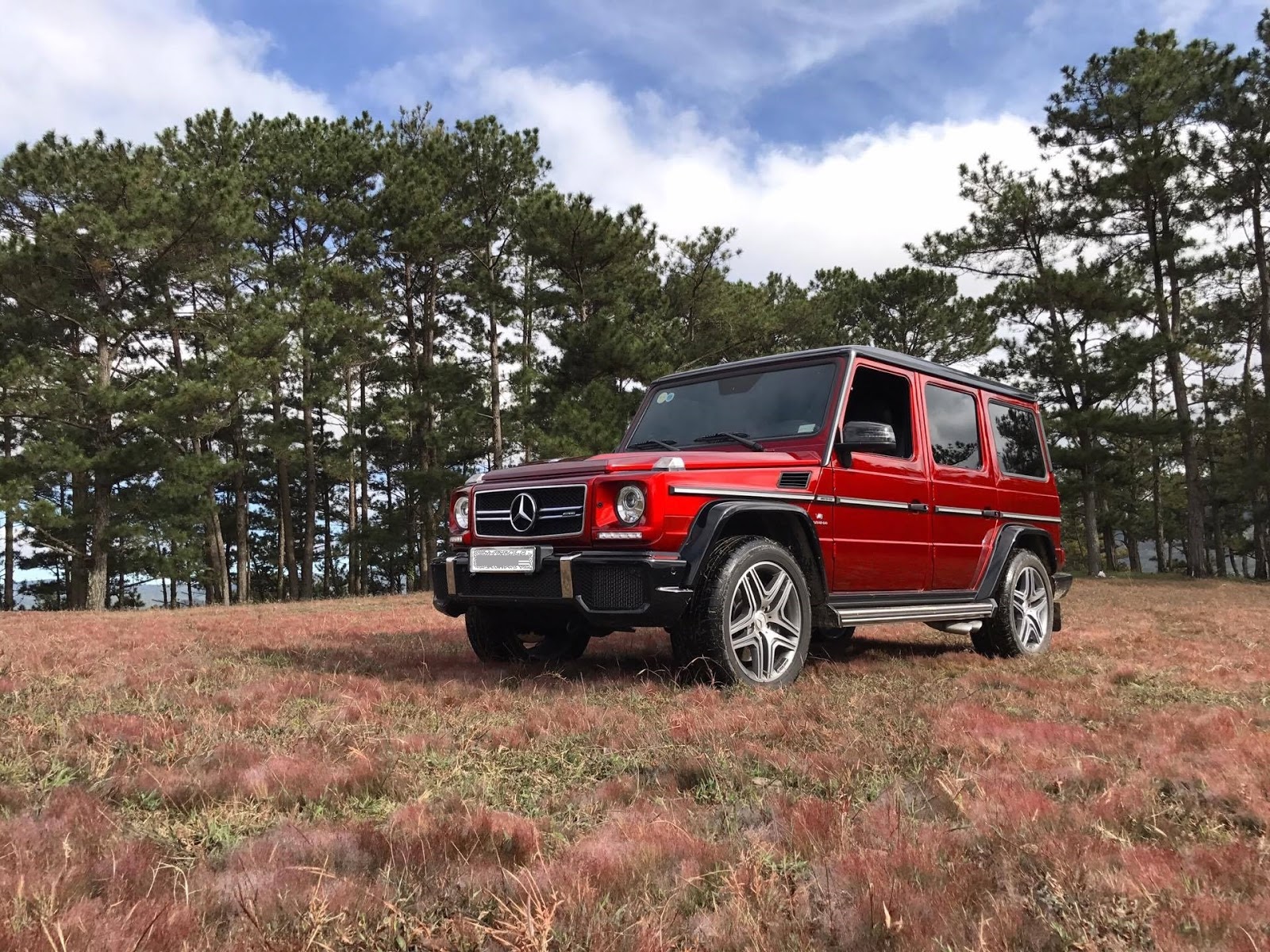 Đồi Cỏ Hồng Đà Lạt - Địa điểm check in thơ mộng nhất xứ ngàn hoa