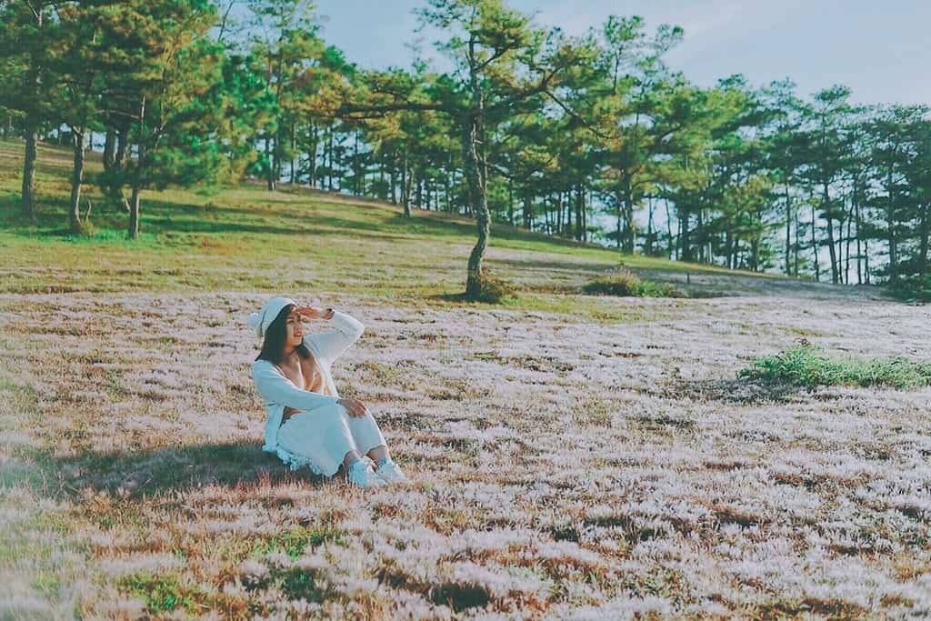 Đồi Cỏ Hồng Đà Lạt - Địa điểm check in thơ mộng nhất xứ ngàn hoa