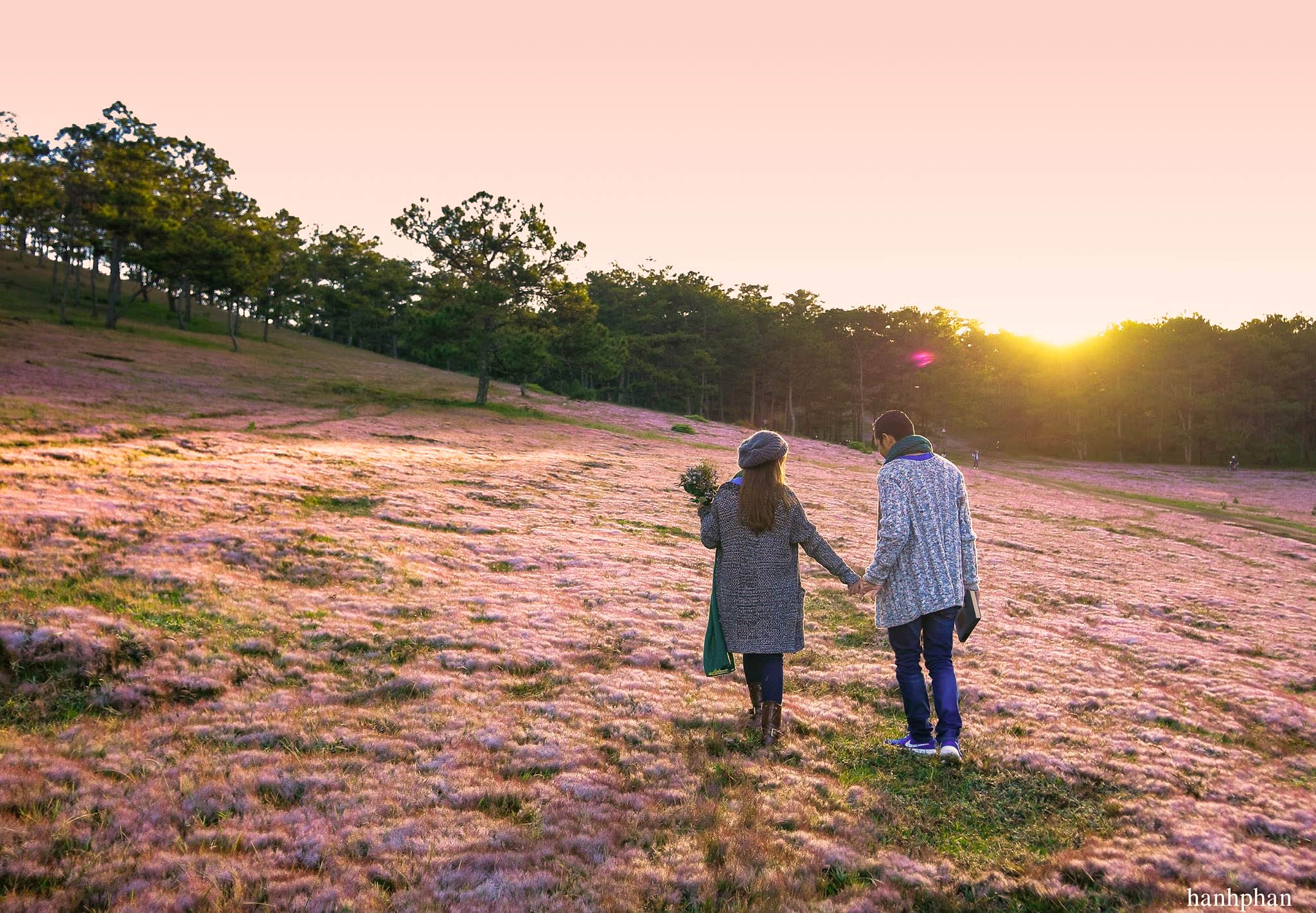 Đồi Cỏ Hồng Đà Lạt - Địa điểm check in thơ mộng nhất xứ ngàn hoa