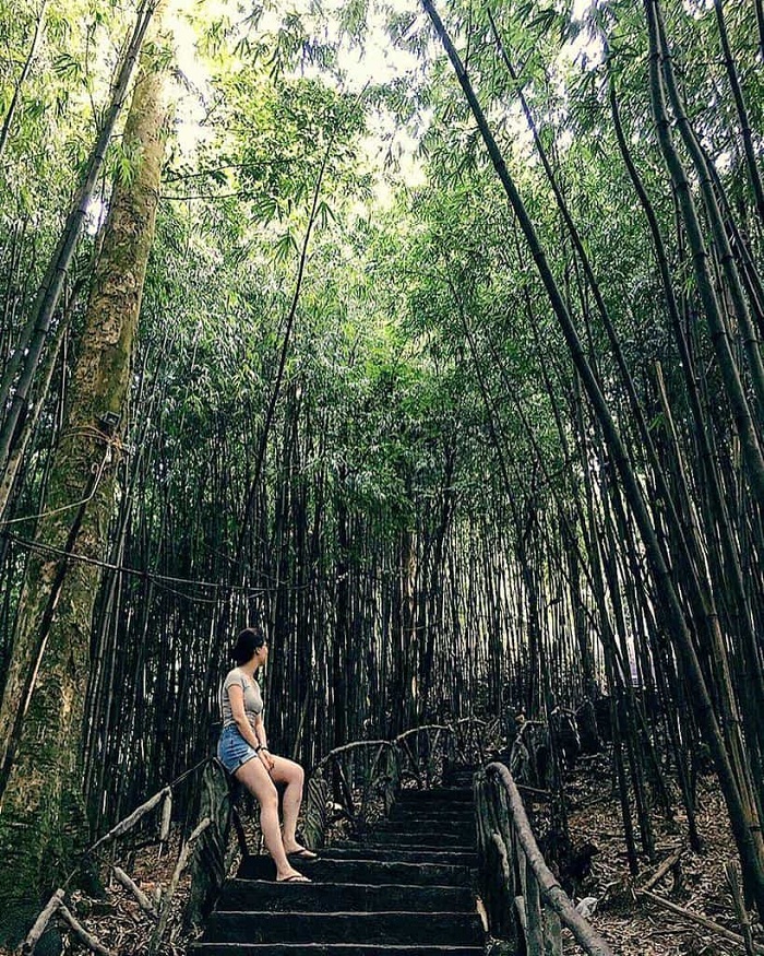 Kinh nghiệm du lịch Tam Đảo 2022 chi tiết nhất