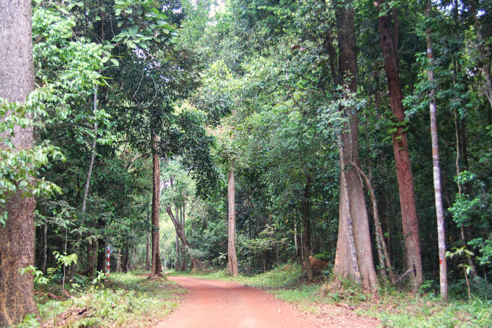 du lịch vườn quốc gia cát tiên