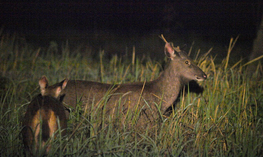 du lịch vườn quốc gia cát tiên