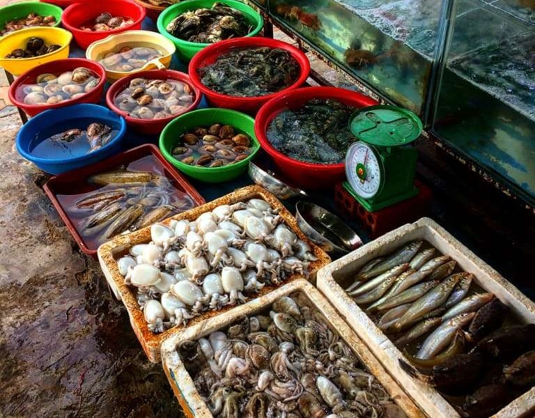 Top 15 địa chỉ mua hải sản Quảng Ninh chất lượng và giá rẻ