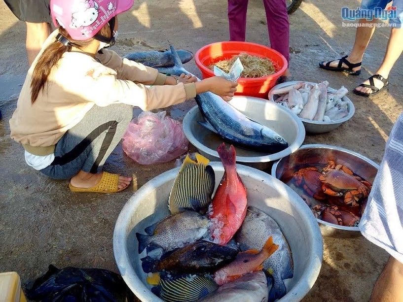 Top 15 địa chỉ mua hải sản Quảng Ninh chất lượng và giá rẻ