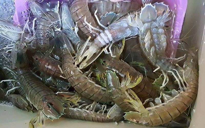 Top 15 địa chỉ mua hải sản Quảng Ninh chất lượng và giá rẻ