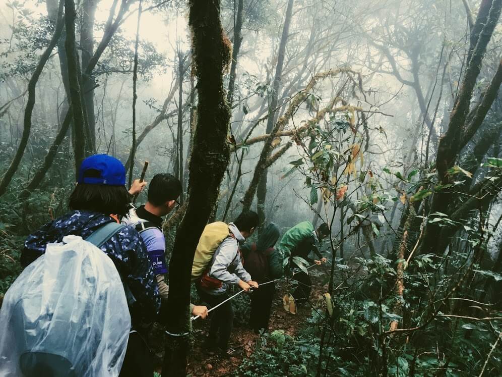 Tổng hợp kinh nghiệm khám phá hang Sơn Đoòng mới nhất năm 2022