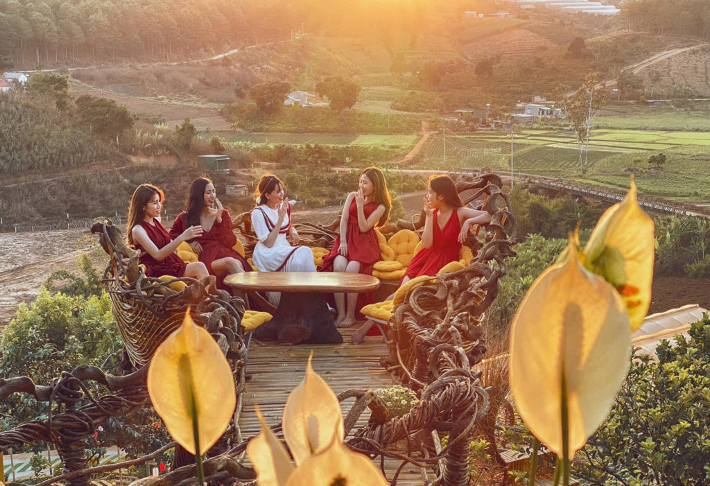 hoa dã quỳ đà lạt