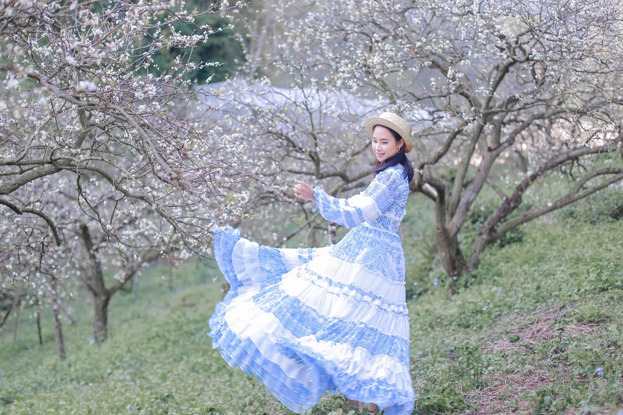 Hoa mận Mộc Châu - Ngây ngất giữa mùa hoa tuyệt đẹp