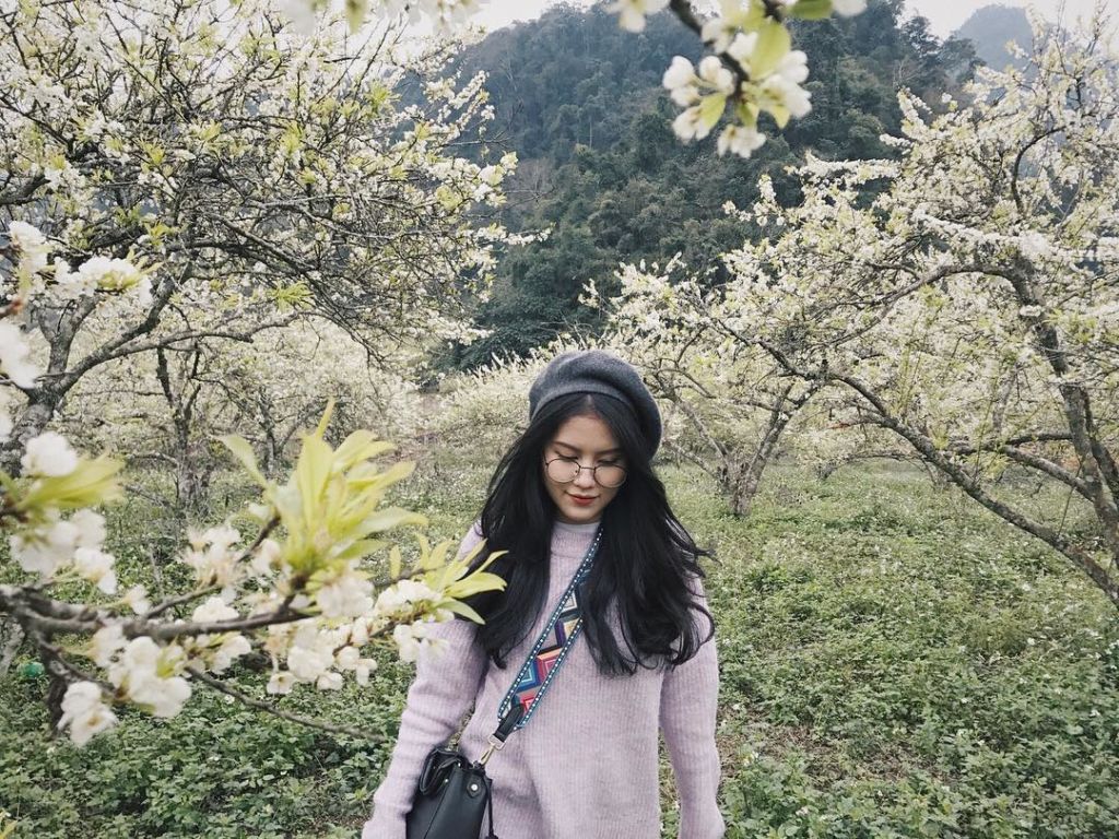 Hoa mận Mộc Châu - Ngây ngất giữa mùa hoa tuyệt đẹp
