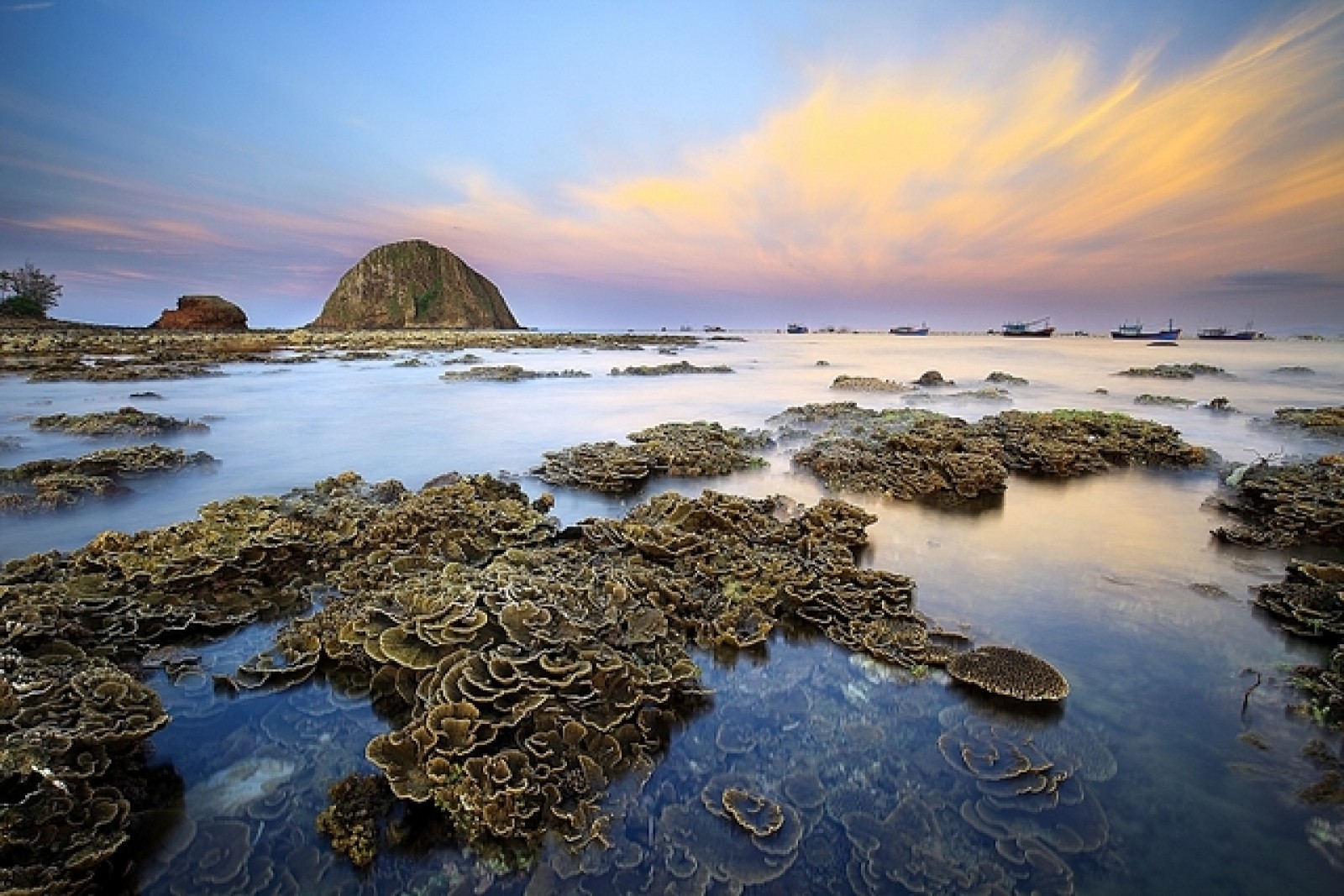 hòn yến phú yên