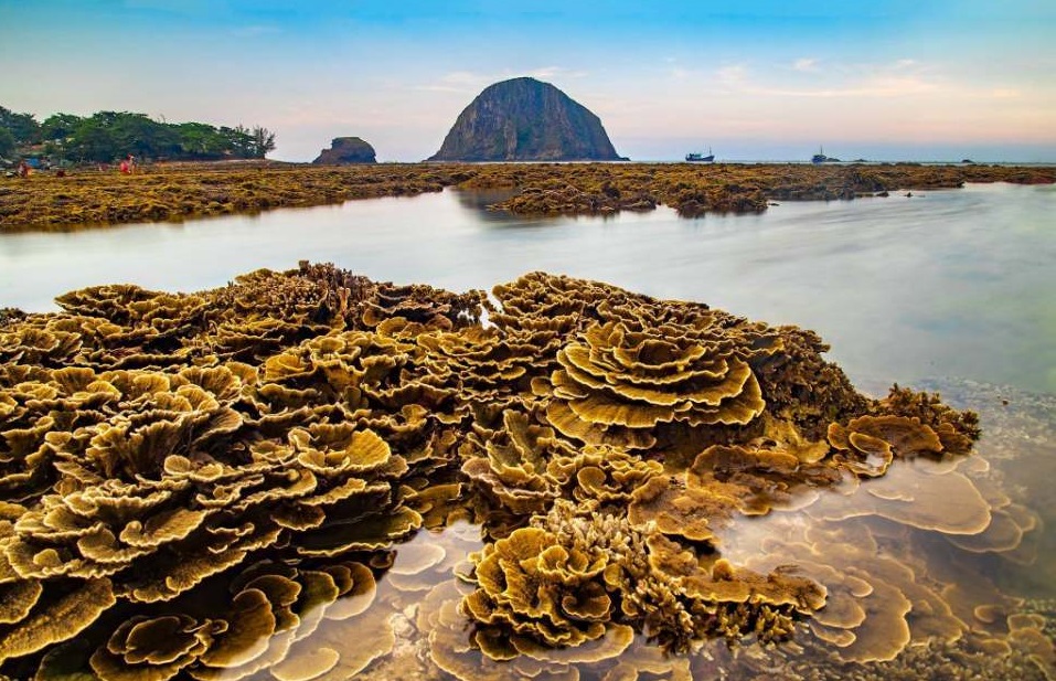 hòn yến phú yên