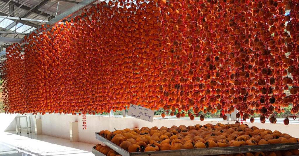 hồng trứng đà lạt