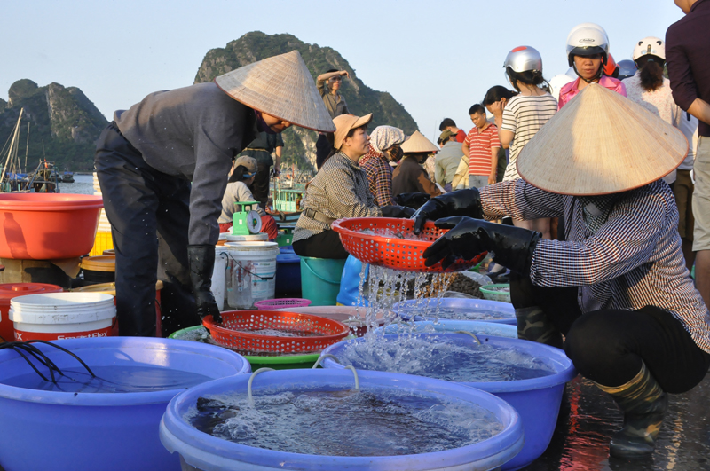 Khám phá Đảo Quan Lan - Nét đẹp hoang sơ, trữ tình