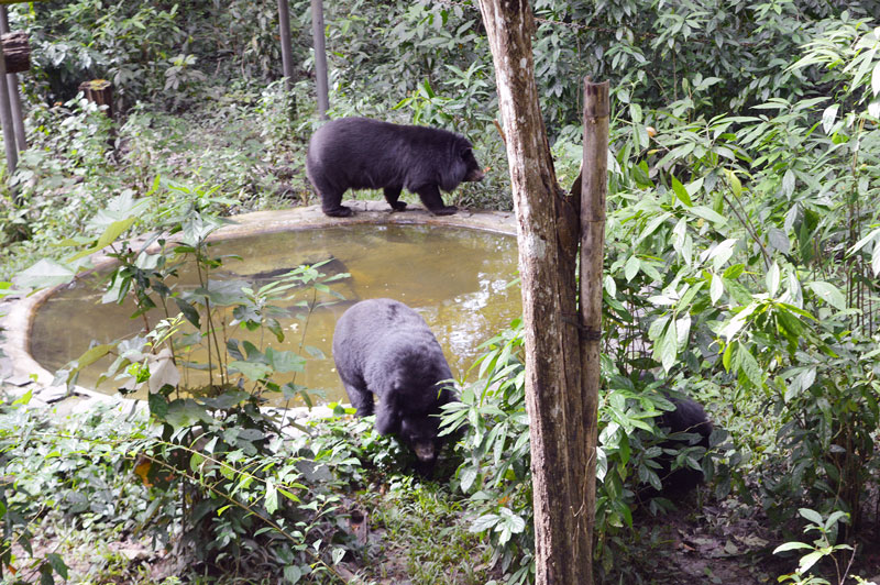 vườn quốc gia cát bà