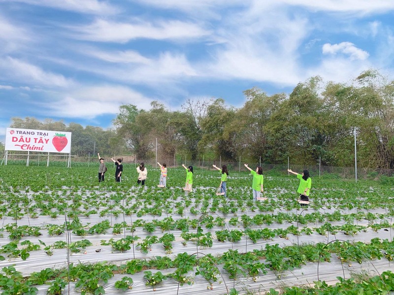 mộc châu có gì đẹp