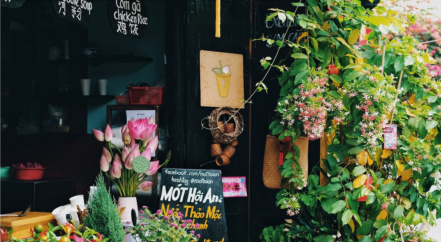 Mót Hội An - Hương trà mang đậm bản sắc Việt