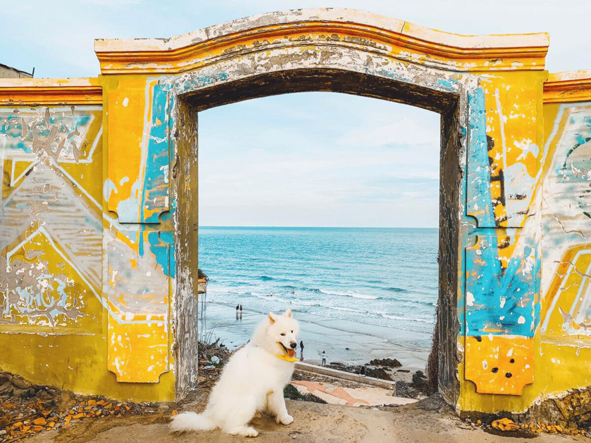 Khám phá Mũi Nghinh Phong - Điểm check in hot nhất Vũng Tàu