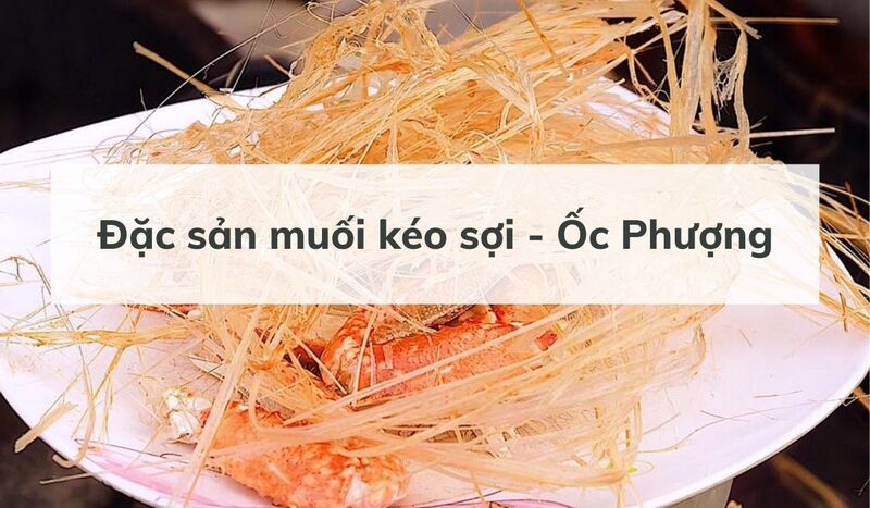 Top 15 quán ốc Sài Gòn ngon nức tiếng cho những tín đồ đam mê ẩm thực