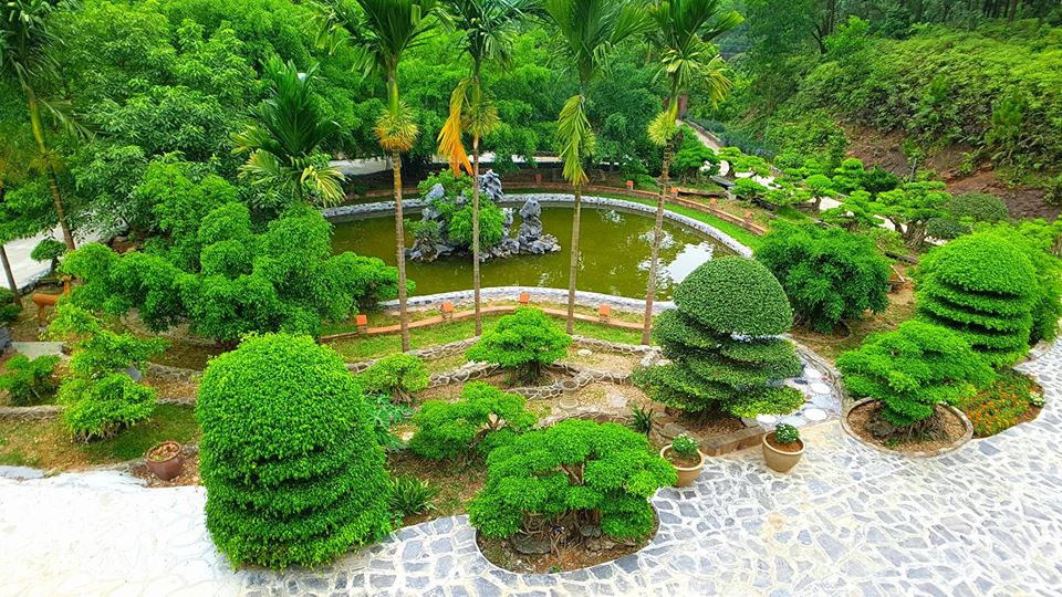 Review Rừng Thông Xanh Sóc Sơn - Yên bình trong rừng thông thơ mộng