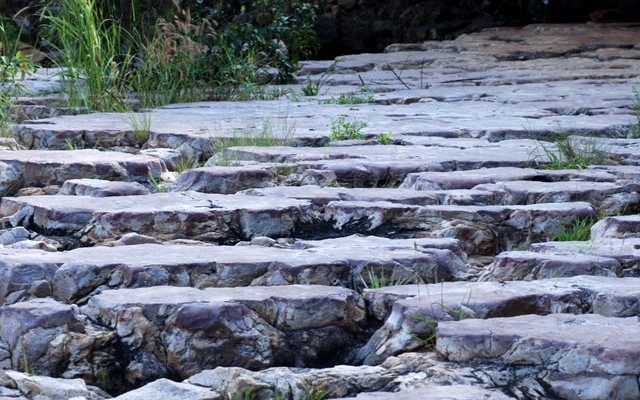 Khám phá Suối trúc Tây Ninh - Chốn gác lại âu lo