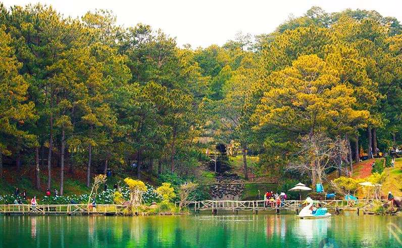 Review suối vàng Đà Lạt có gì mà thu hút giới trẻ đến vậy?