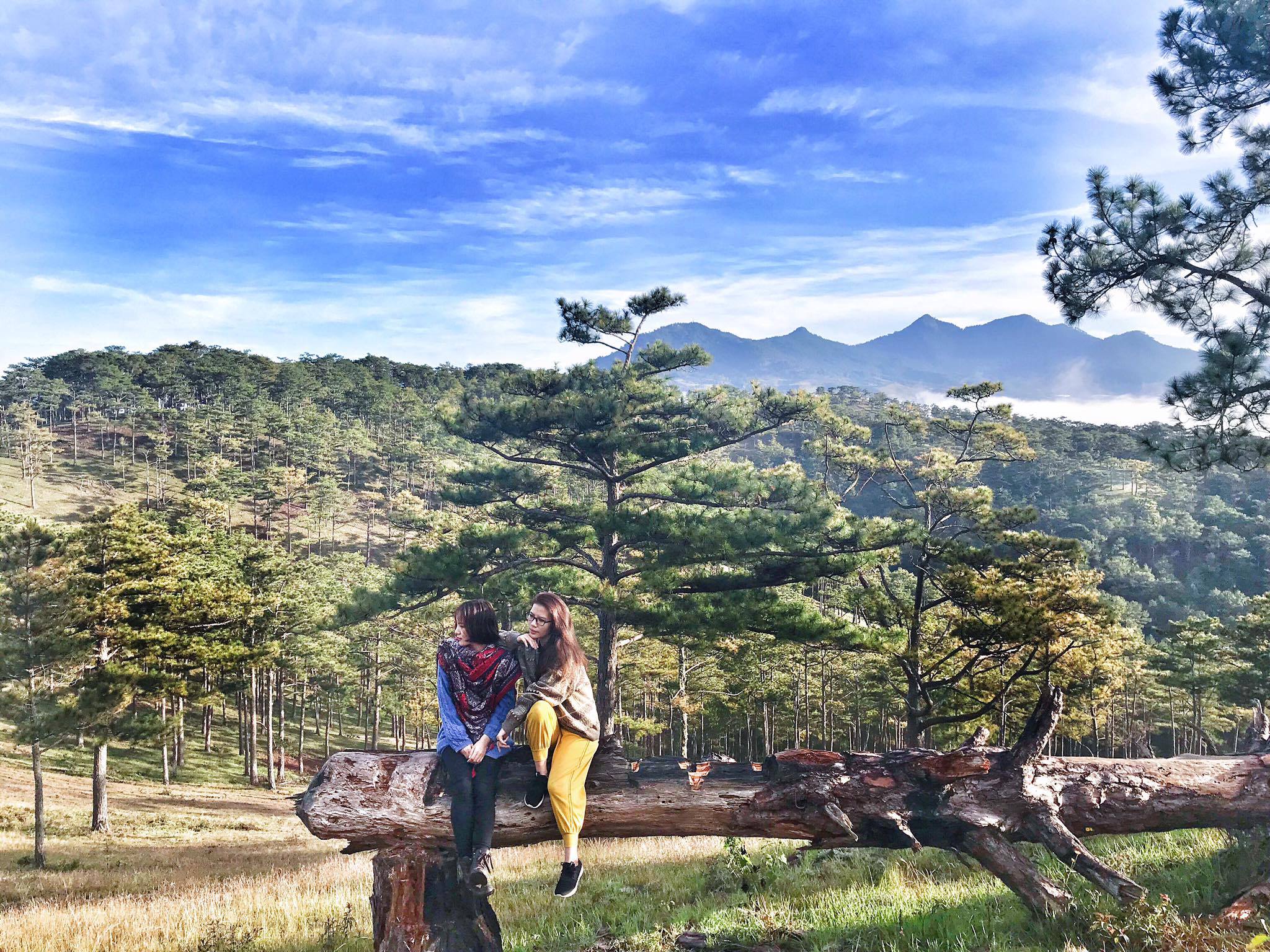 Review suối vàng Đà Lạt có gì mà thu hút giới trẻ đến vậy?