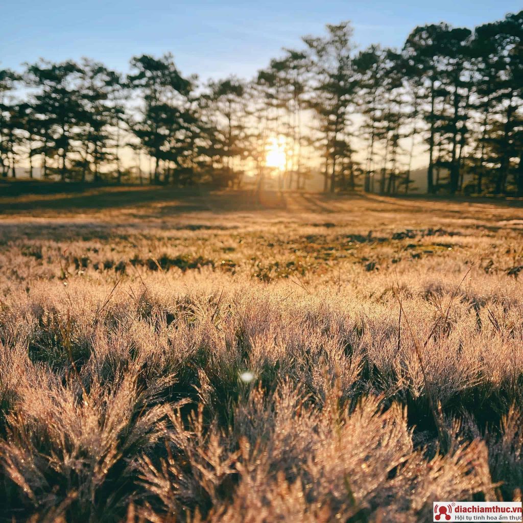 Review suối vàng Đà Lạt có gì mà thu hút giới trẻ đến vậy?