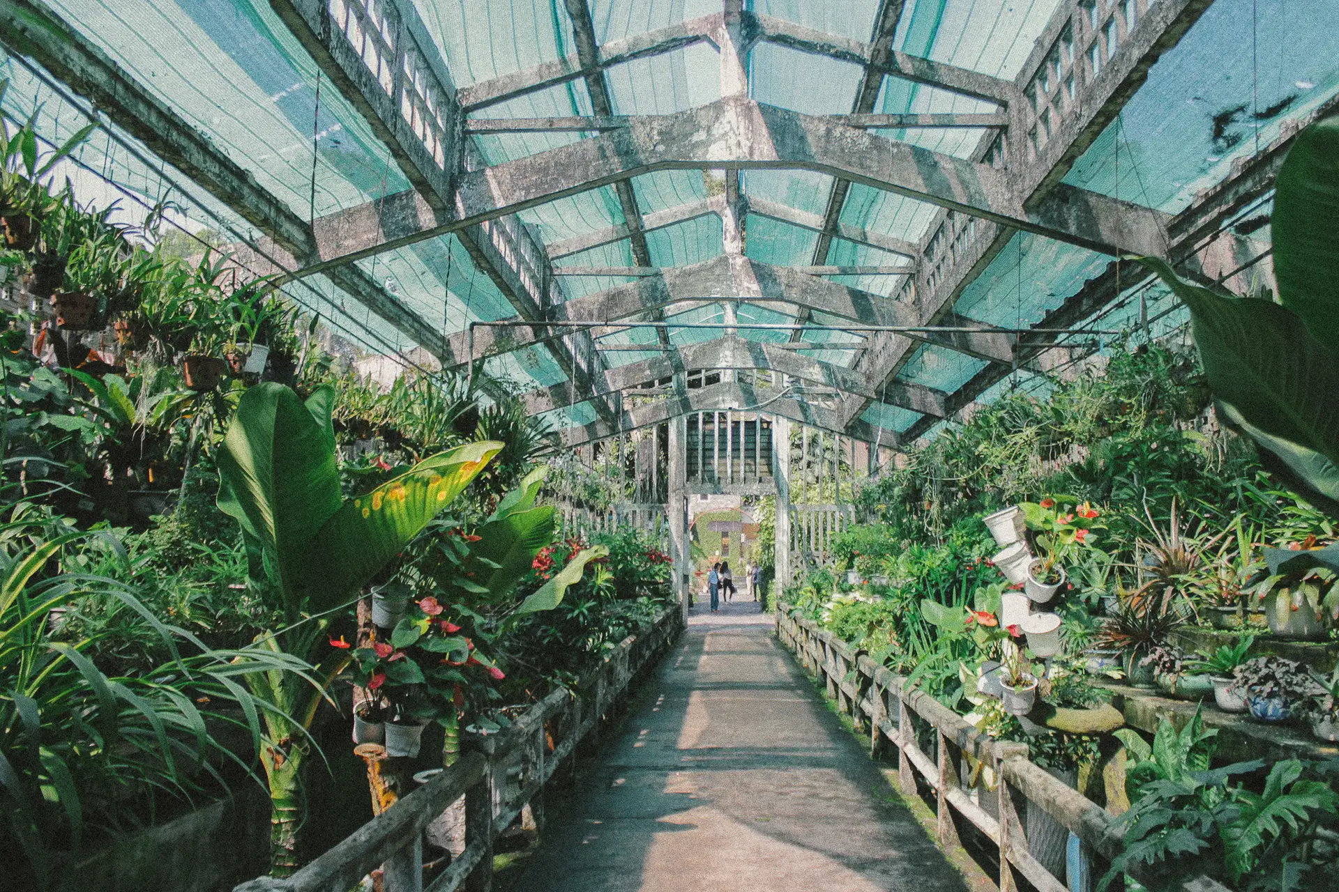 thảo cầm viên