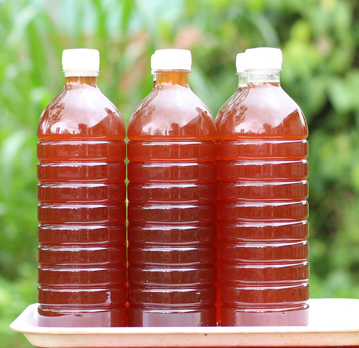 Top 20 đặc sản Quảng Bình nức tiếng bốn phương