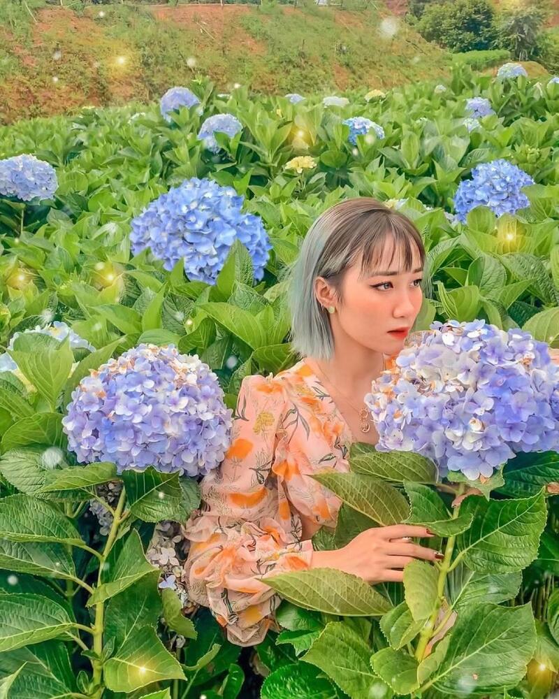 Trại Mát Đà Lạt - Tọa độ săn mây và đón bình minh có 1 0 2 tại Đà Lạt