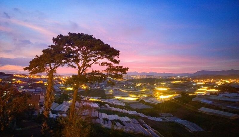 Trại Mát Đà Lạt - Tọa độ săn mây và đón bình minh có 1 0 2 tại Đà Lạt