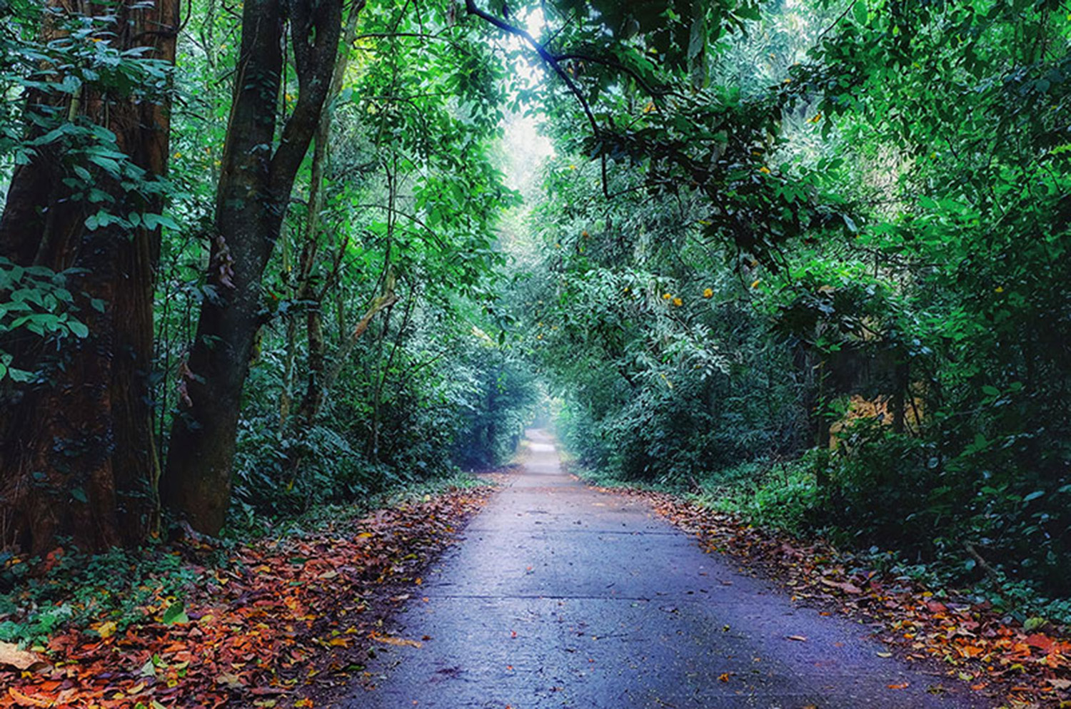 Kinh nghiệm du lịch Vườn quốc gia Bến En mới nhất 2022