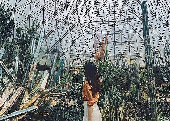 vườn quốc gia ba vì